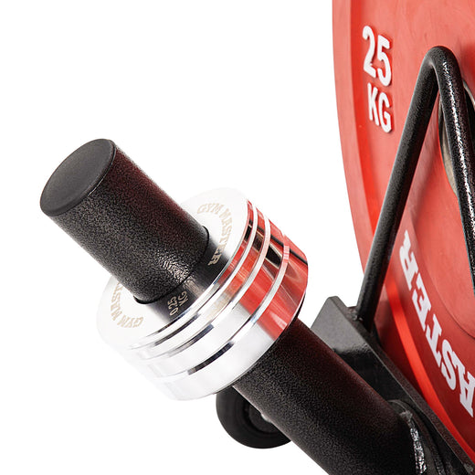 Portable Horizontal Bumper Plate Trolley Rack with Fractional Weight Section