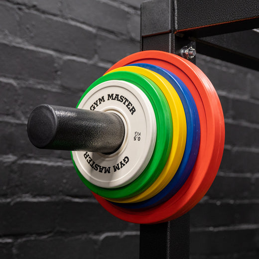 Pair of Rubber Olympic Precision Fractional Change Plates