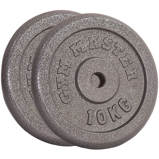 Two gunmetal GYM MASTER weight plates