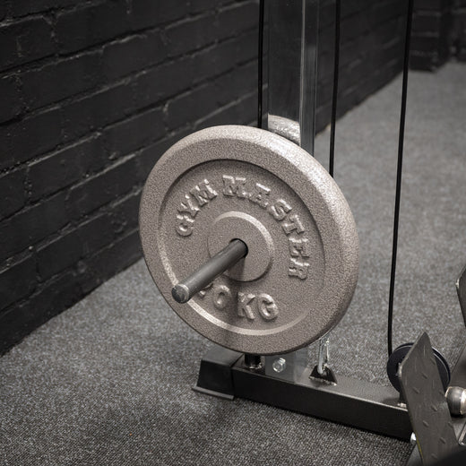 Cast Iron 1" Standard Weight Plates.