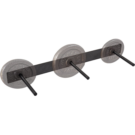 Standard 1" Weight Plate Wall Mounted Storage Rack - Vertical or Horizontal