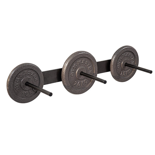 Standard 1" Weight Plate Wall Mounted Storage Rack - Vertical or Horizontal