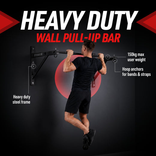 Wall Mounted Pull Up Bar