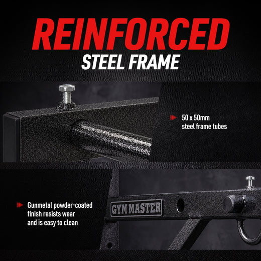 Wall Mounted Pull Up Bar
