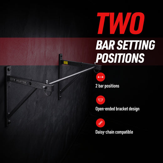 Wall Mounted Pull Up Bar