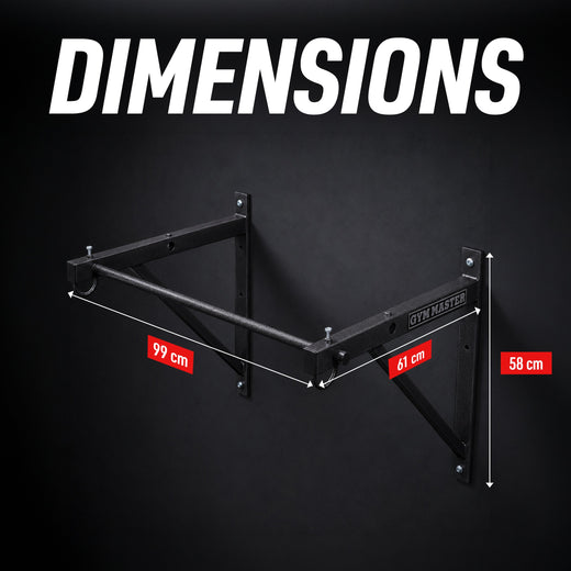 Wall Mounted Pull Up Bar